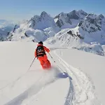 Отель Goldener Berg 4*