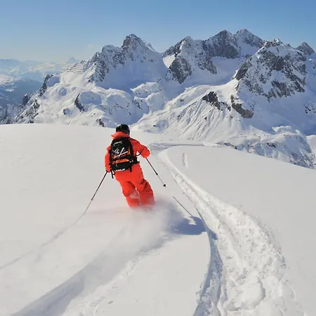 فندق Goldener Berg 4*