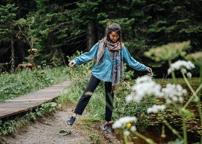 Hotell Goldener Berg 4*